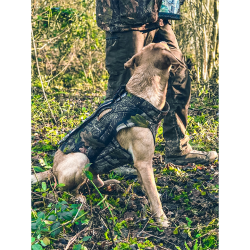 Neoprenvest til hunde-Jack Pyke